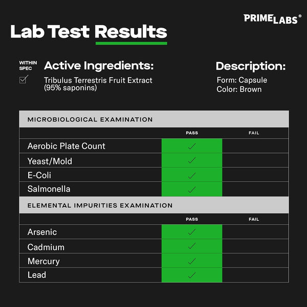 View Lab Tests