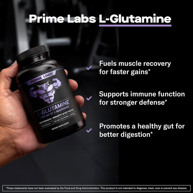 Hand holding Prime Labs L-Glutamine bottle beside callouts for muscle recovery, immune function support and healthy digestion